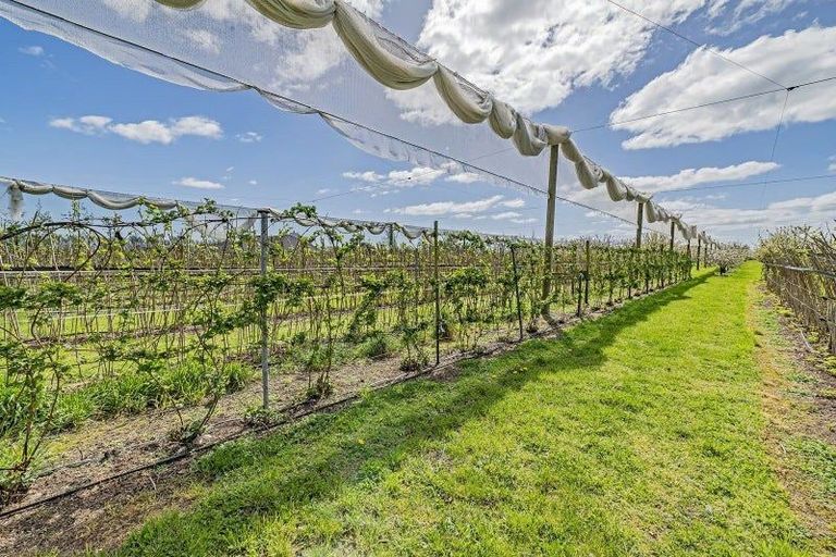 Photo of property in 1520 Tram Road, Swannanoa, Rangiora, 7475