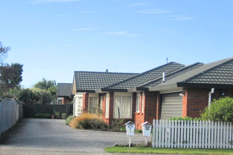 Photo of property in 509a Burnett Street, Mahora, Hastings, 4120