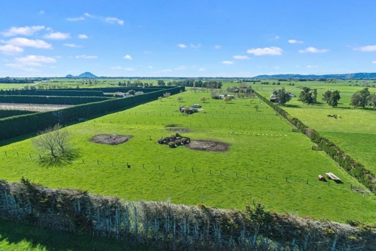 Photo of property in 157a Angle Road, Awakeri, Whakatane, 3193