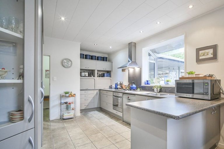 Photo of property in 60 Mchardy Street, Havelock North, 4130