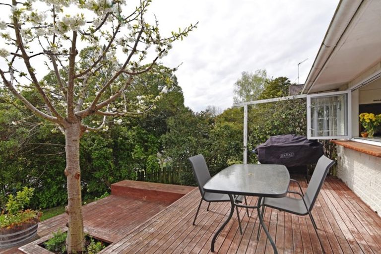 Photo of property in 49 Reeve Drive, Havelock North, 4130