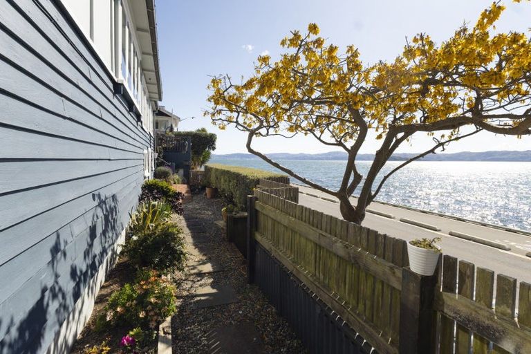 Photo of property in 625 Marine Drive, Days Bay, Lower Hutt, 5013