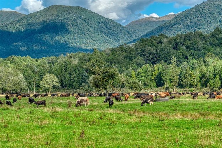 Photo of property in 1297 Haupiri Road, Haupiri, Dobson, 7872