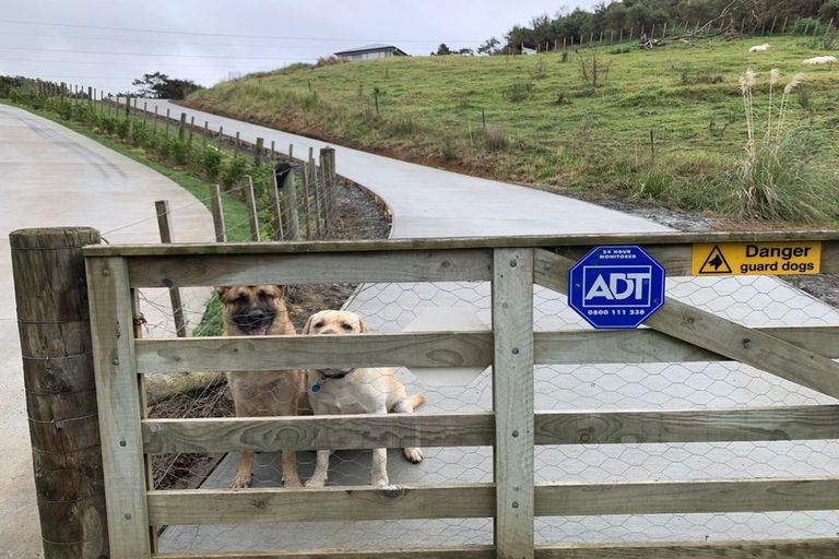 Photo of property in 194 Pinchgut Road, Kaukapakapa, 0873