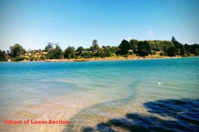 Photo of property in 41 Pohutukawa Avenue, Shelly Park, Auckland, 2014