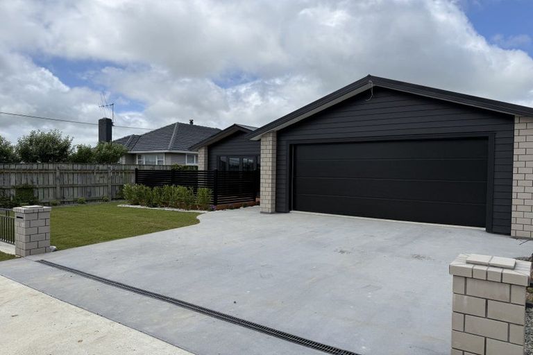Photo of property in 26 Winchester Street, Levin, 5510