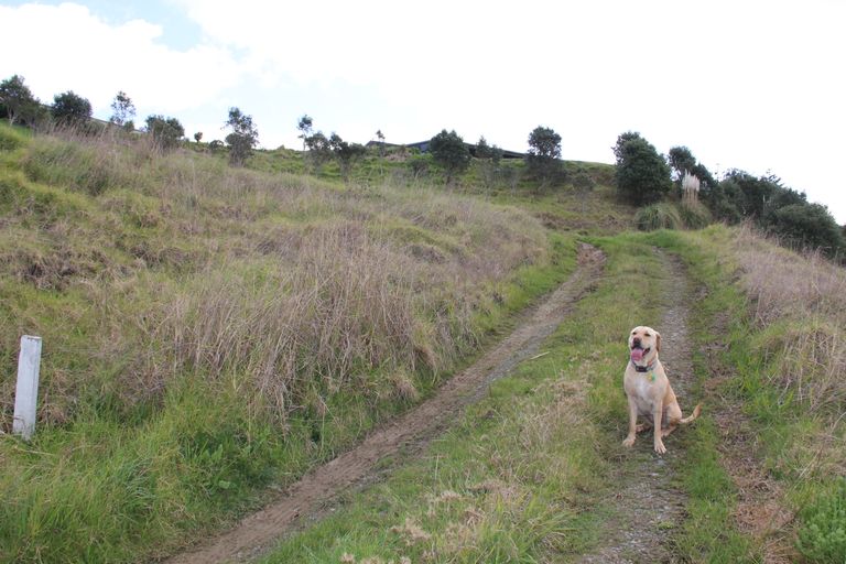 Photo of property in 286 Cove Road, Waipu, 0582