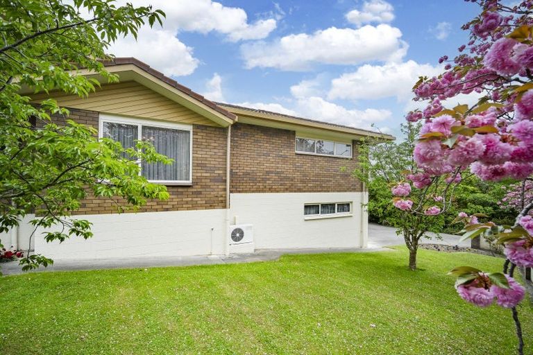 Photo of property in 36 Kopanga Road, Havelock North, 4130