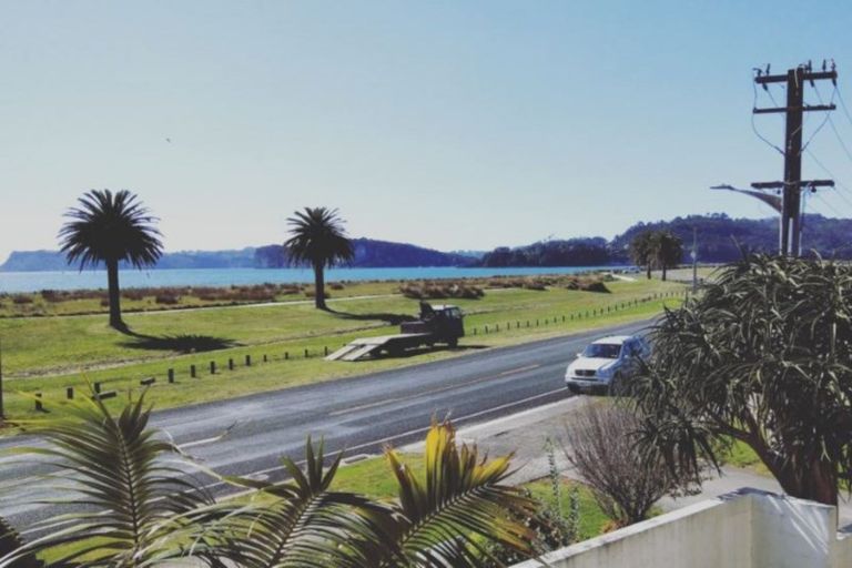 Photo of property in 63 Buffalo Beach Road, Whitianga, 3510