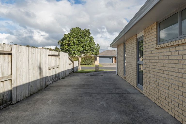 Photo of property in 50 Solomon Street, Brookfield, Tauranga, 3110