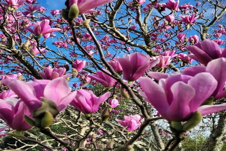 Photo of property in 376 Neudorf Road, Upper Moutere, 7175