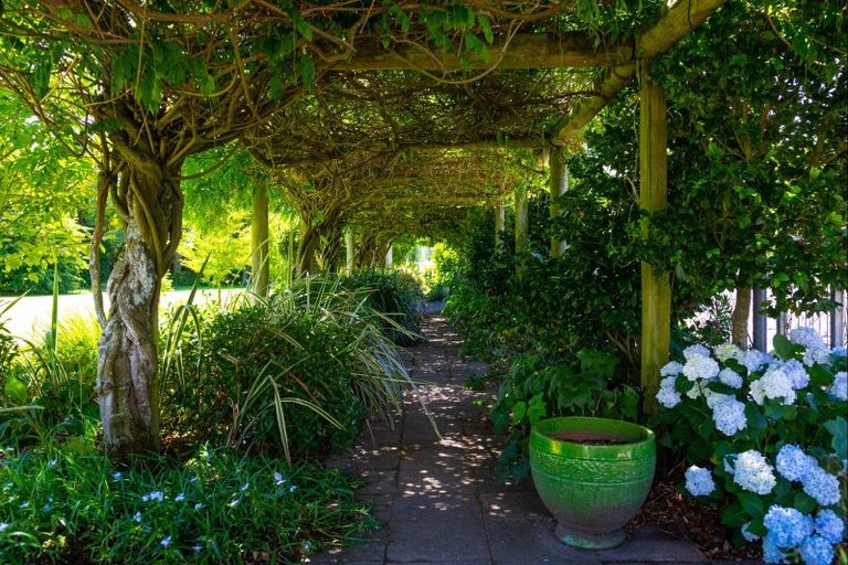 Photo of property in 101 Giffords Road, Rapaura, Blenheim, 7273