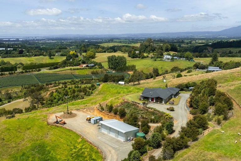 Photo of property in 251 Woodland Road, Tahawai, Katikati, 3170
