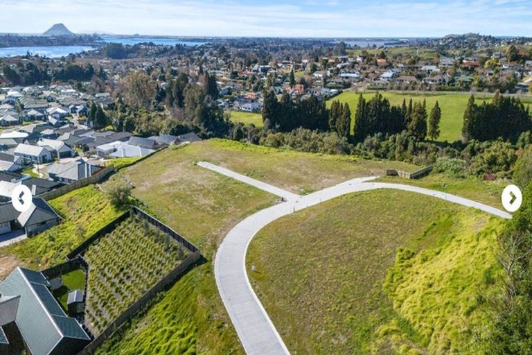 Photo of property in 79 Carmen Way, Ohauiti, 3112