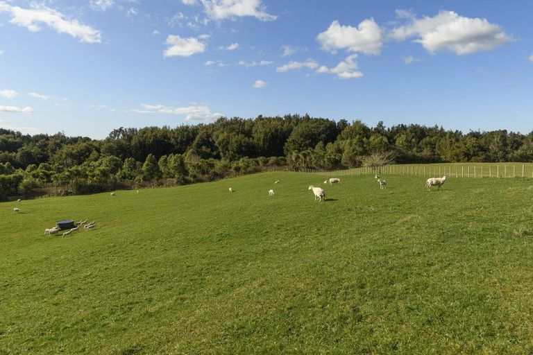 Photo of property in 771 Whakamarama Road, Whakamarama, Tauranga, 3179