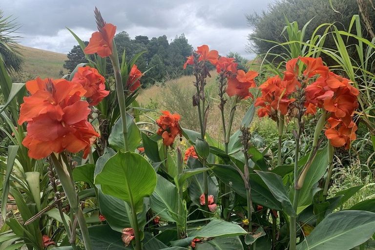 Photo of property in 1665 Matapouri Road, Matapouri, Whangarei, 0173