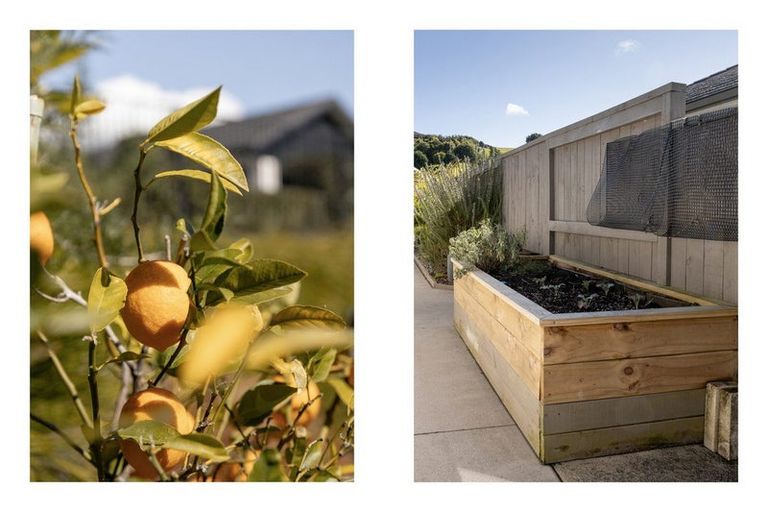 Photo of property in 13 Shoreview Close, Omokoroa, 3114