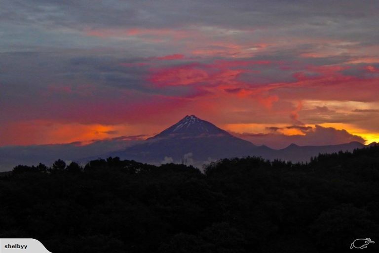 Photo of property in 8 Jersey Place, Bell Block, New Plymouth, 4312