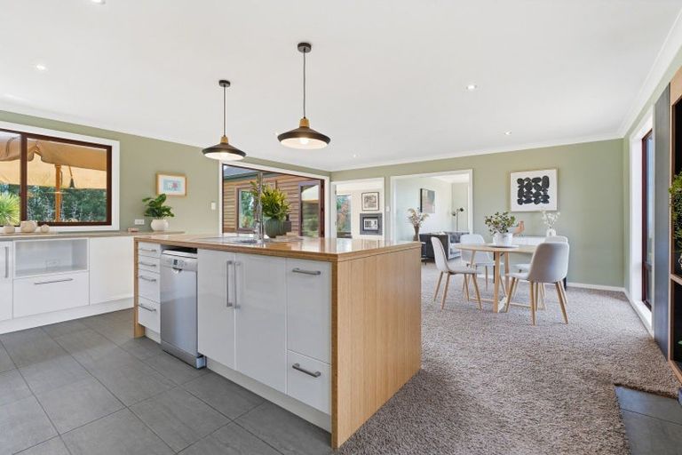 Photo of property in 689 Big Stone Road, Kuri Bush, Dunedin, 9091