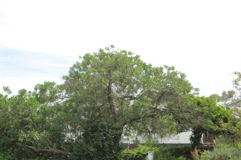 Photo of property in 180 Crawford Road, Kaiti, Gisborne, 4010