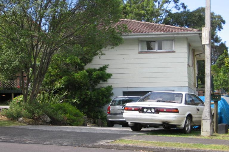 Photo of property in 113 Weatherly Road, Torbay, Auckland, 0630