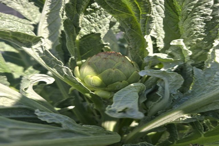 Photo of property in 86 Scotland Street, Picton, 7220