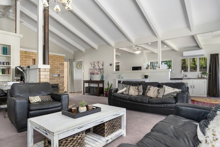 Photo of property in 227 Youngson Road, Whakamarama, Tauranga, 3179