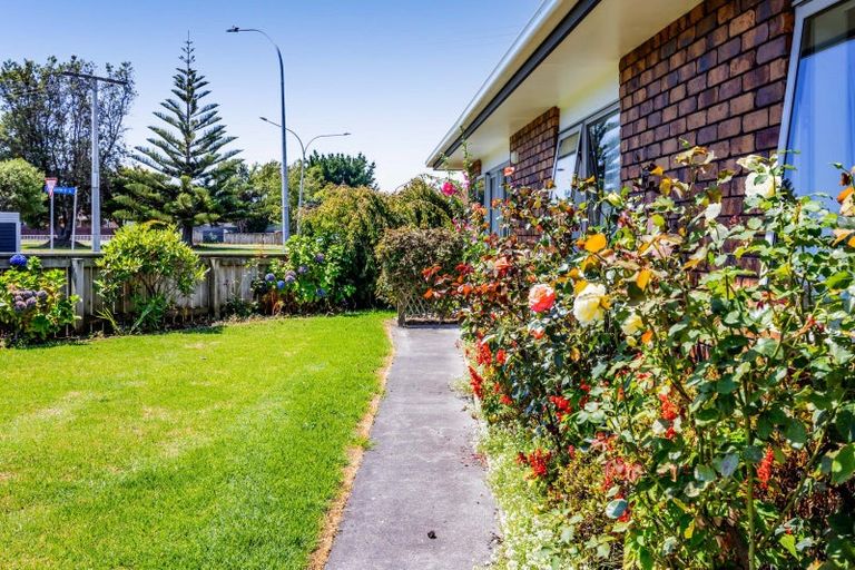 Photo of property in 17 Mcnaughton Street, Waitara, 4320