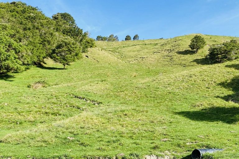 Photo of property in 102 Ormond Valley Road, Ormond, Gisborne, 4071