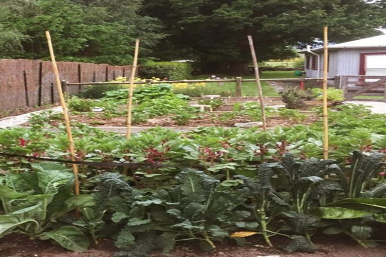 Photo of property in Lombardy Cottage, 162 Shepherds Flat Road, Cambrians, Oturehua, 9386