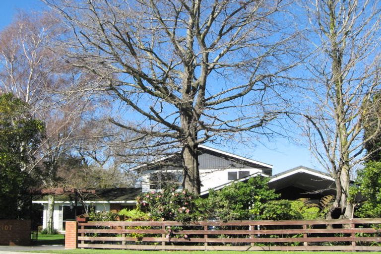 Photo of property in 107 Frimley Avenue, Frimley, Hastings, 4120