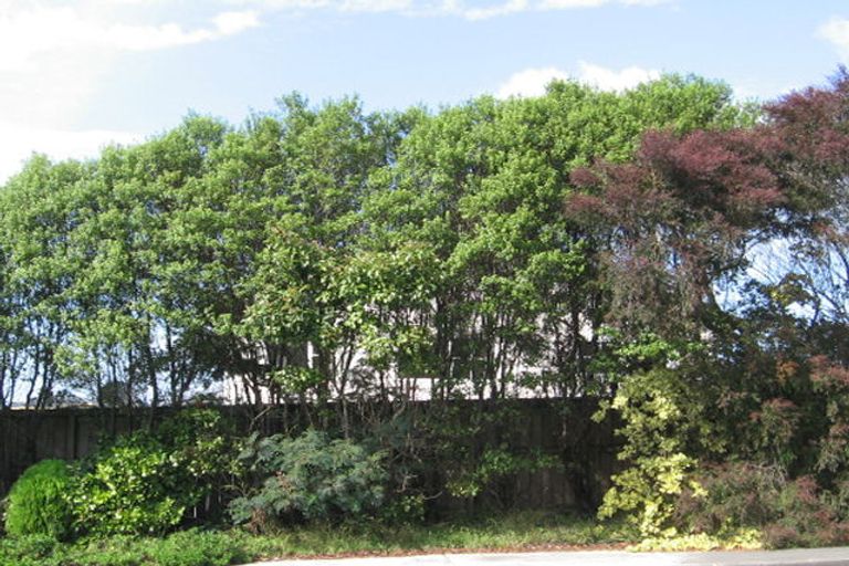 Photo of property in 127 Hobsonville Road, West Harbour, Auckland, 0618