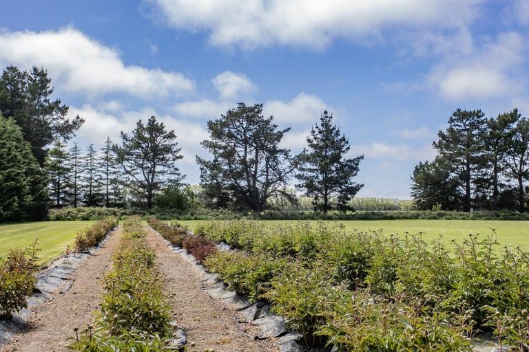 Photo of property in 41 Ashworths Road, Ohoka, Kaiapoi, 7692