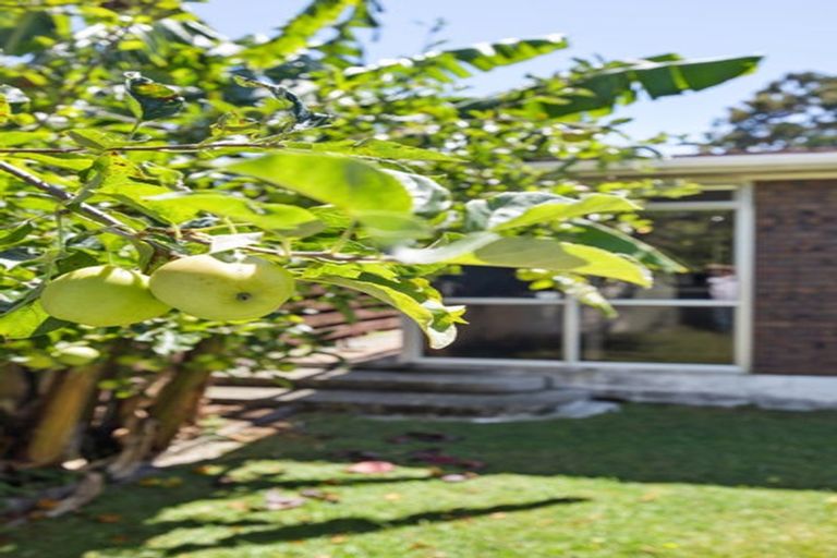 Photo of property in 203a Peachgrove Road, Claudelands, Hamilton, 3214