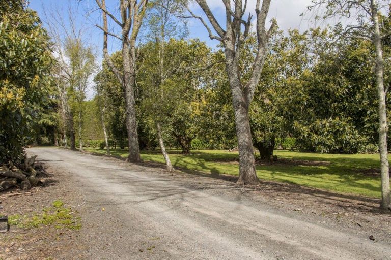 Photo of property in 19 Henry Road, Katikati, 3129