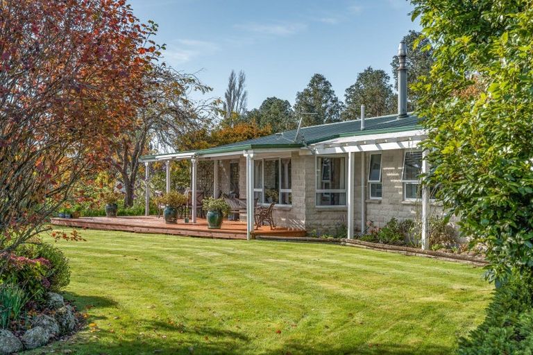 Photo of property in 202 West Bush Road, Upper Plain, Masterton, 5888