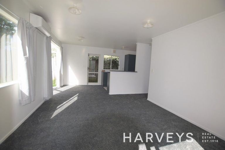 Photo of property in 46 Hindmarsh Street, Henderson, Auckland, 0612