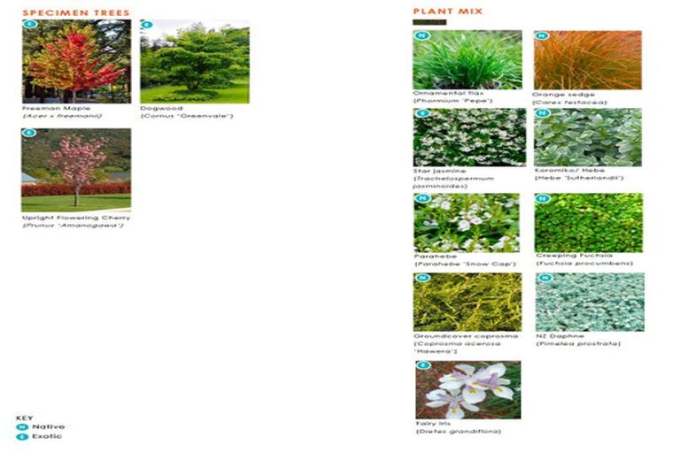 Photo of property in 209 Main North Road, Redwood, Christchurch, 8051