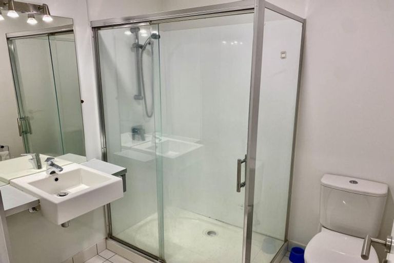 Photo of property in Luna Apartments, 1c/16 Burton Street, Grafton, Auckland, 1010