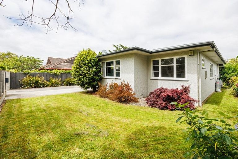Photo of property in 386 Ruahine Street, Terrace End, Palmerston North, 4410