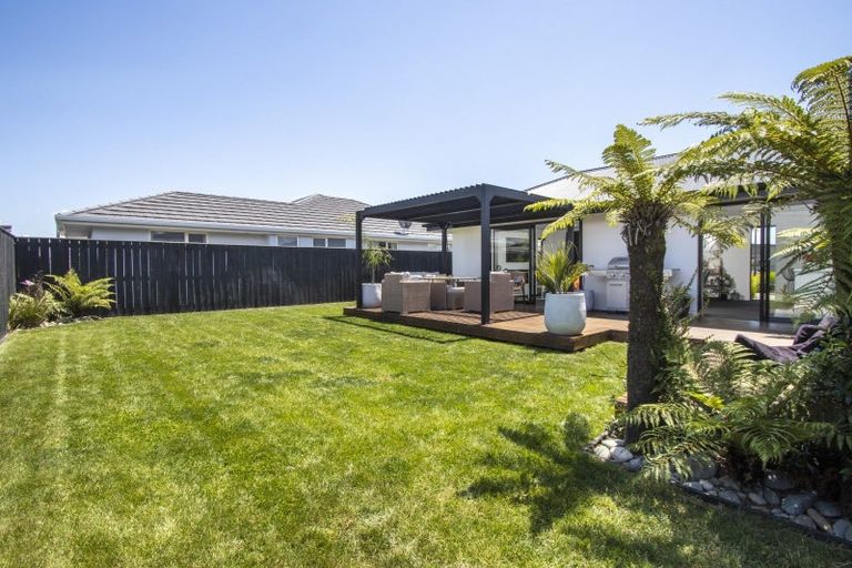 Photo of property in 55 Berryfield Drive, Richmond, 7020