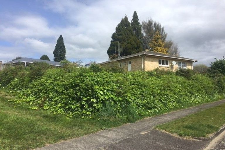 Photo of property in 3 View Street, Putaruru, 3411