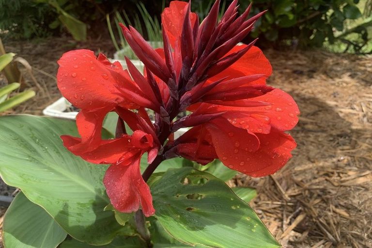 Photo of property in 1665 Matapouri Road, Matapouri, Whangarei, 0173