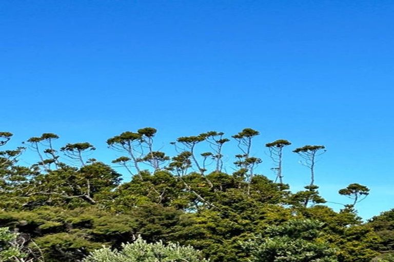 Photo of property in 24 Te Wairoa Lane, Tinopai, 0593