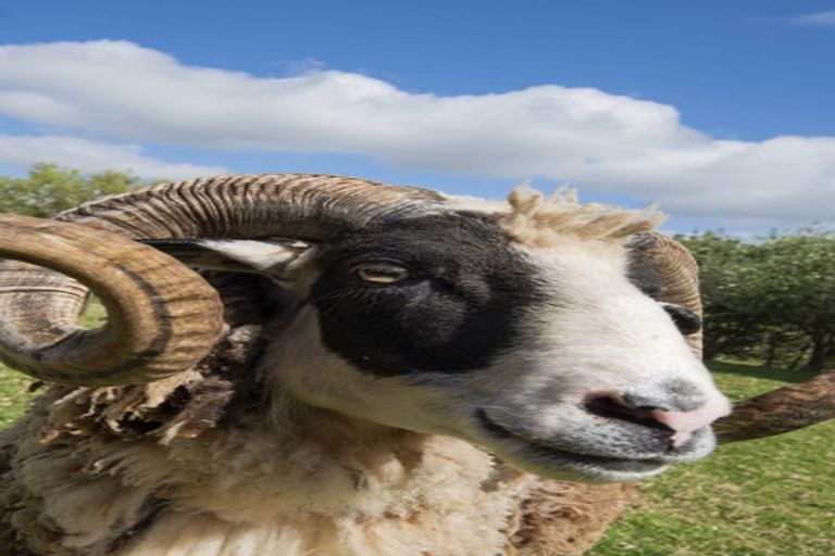 Photo of property in 46 Whakapirau Road, Maungaturoto, 0583