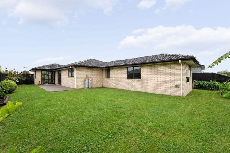 Photo of property in 31 Lulu Avenue, Chartwell, Hamilton, 3210