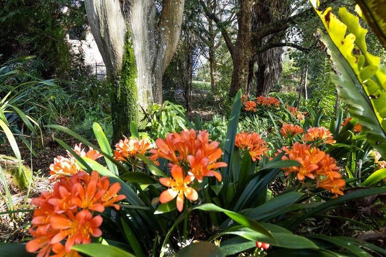 Photo of property in 8 Ward Street, Springlands, Blenheim, 7201