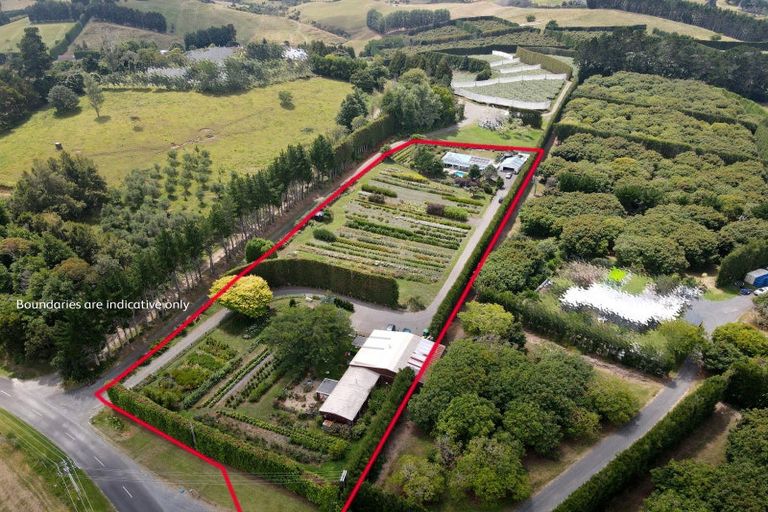 Photo of property in 259 Wainui Road South, Whakamarama, Katikati, 3181