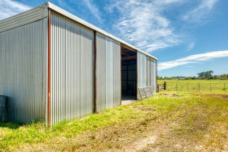 Photo of property in 68 Saltwater Creek Road, Rutherglen, Greymouth, 7805