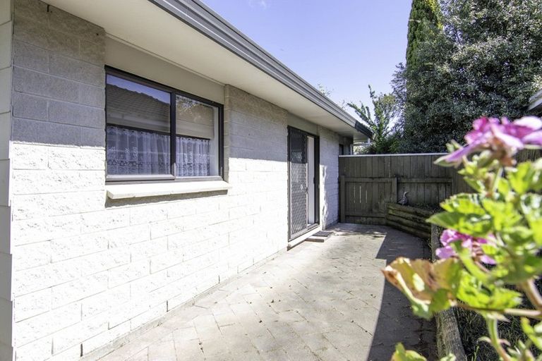 Photo of property in 85 Guy Avenue, Takaro, Palmerston North, 4410